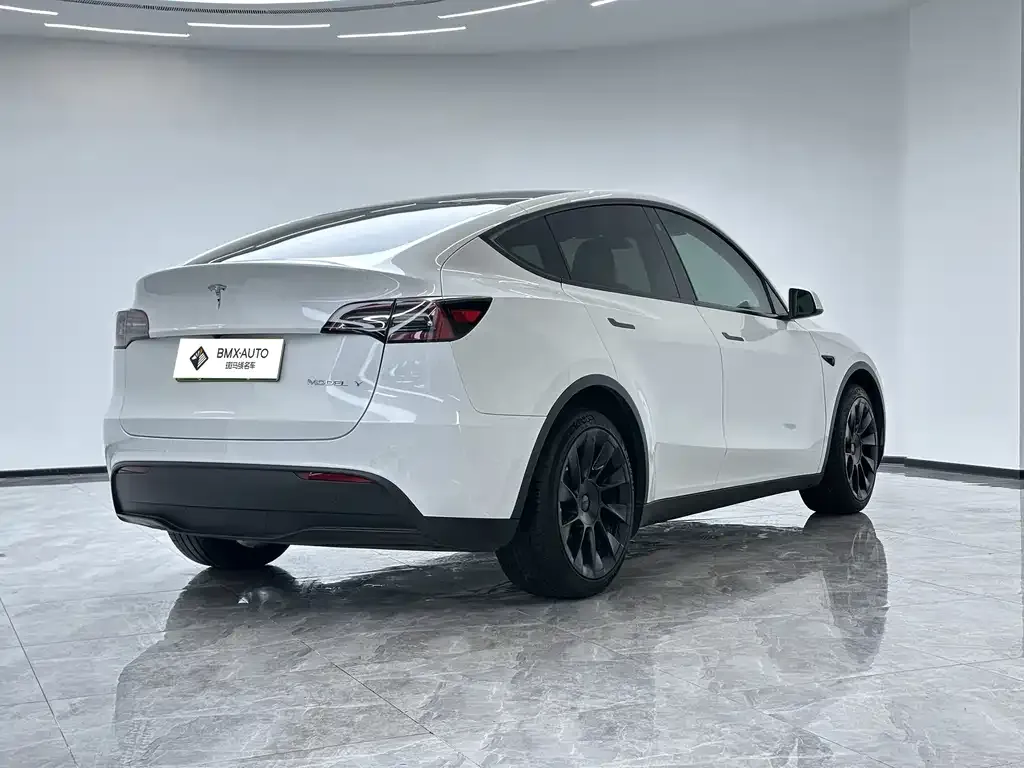 Tesla Model Y — фото 10