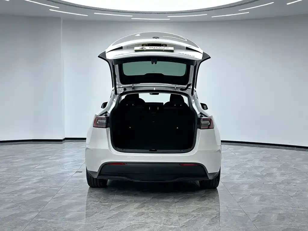 Tesla Model Y — фото 9