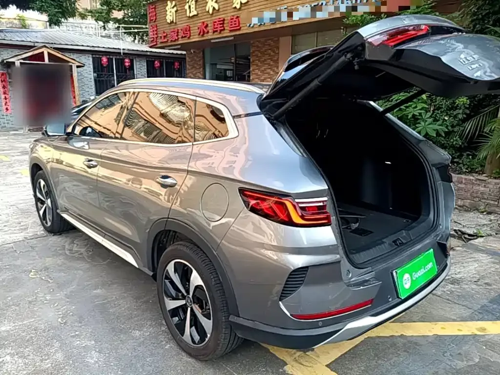 BYD PLUS New Energy — фото 8