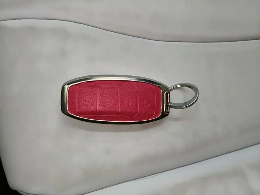 BYD PLUS New Energy — фото 2