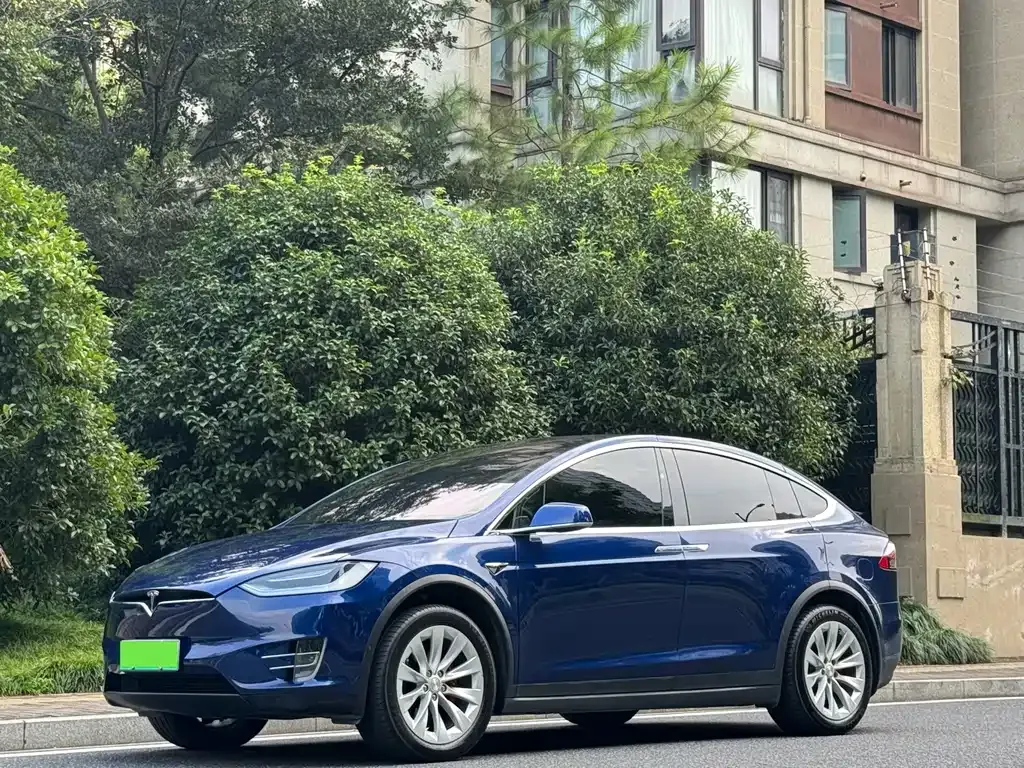 Tesla Model X — фото 1