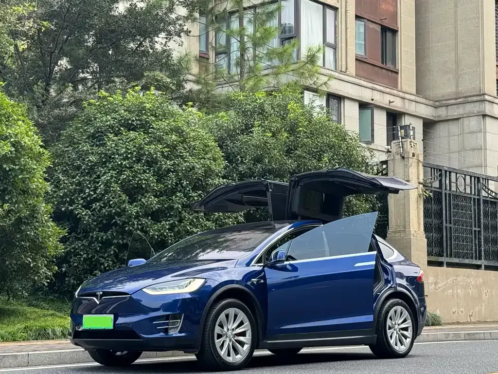 Tesla Model X — фото 5