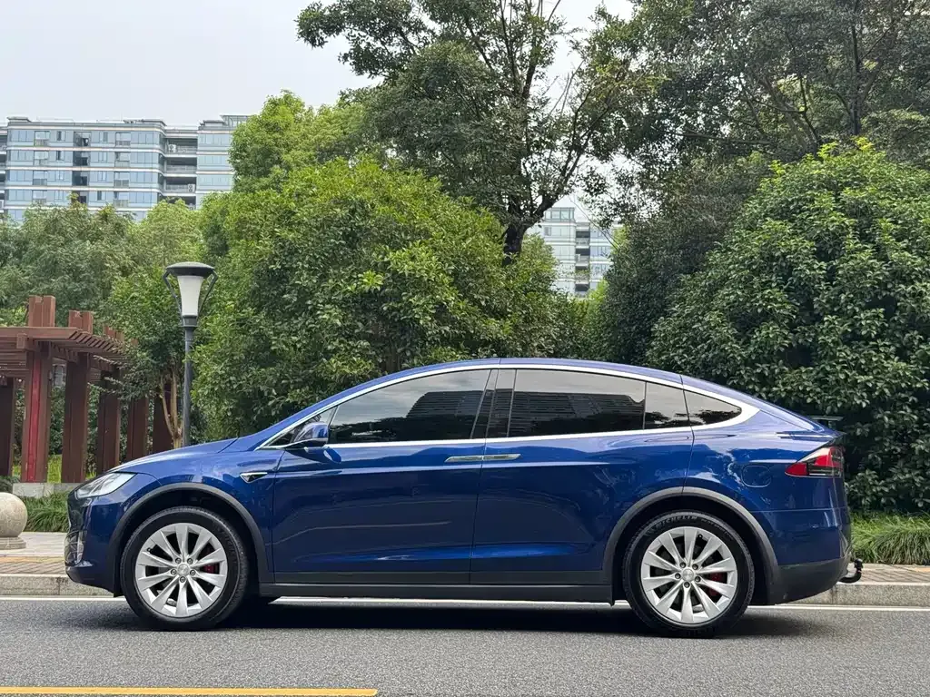 Tesla Model X — фото 7
