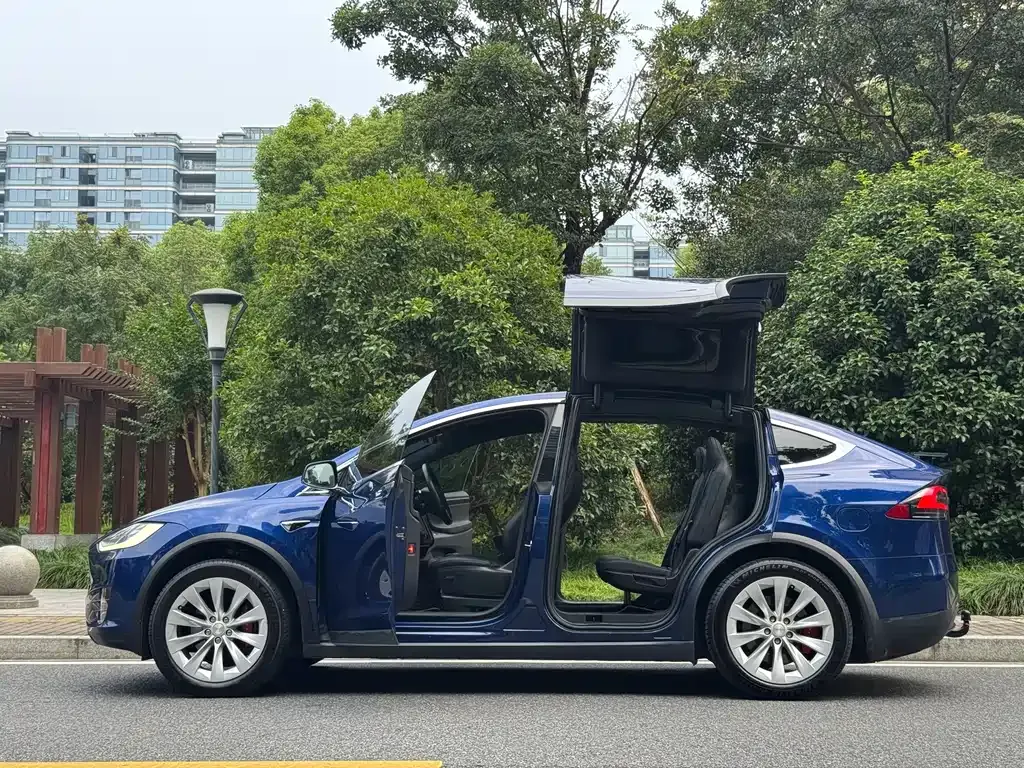 Tesla Model X — фото 6