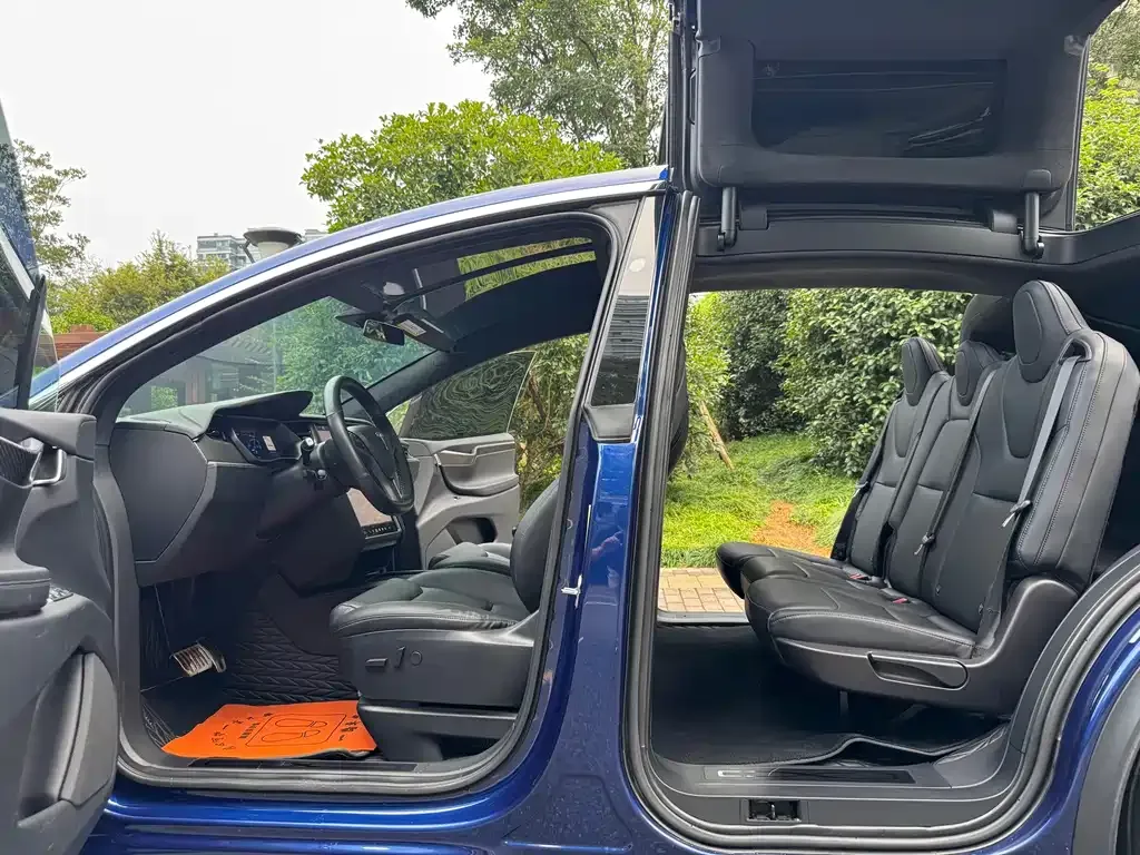 Tesla Model X — фото 10