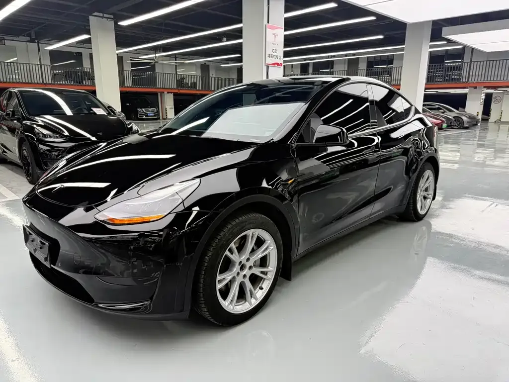 Tesla Model Y — фото 1