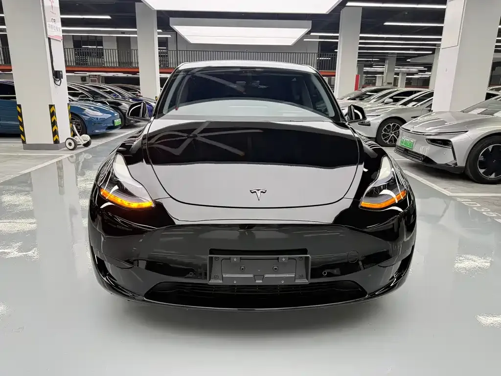 Tesla Model Y — фото 8
