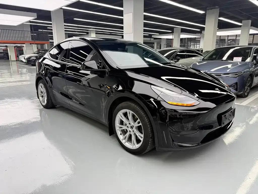 Tesla Model Y — фото 10