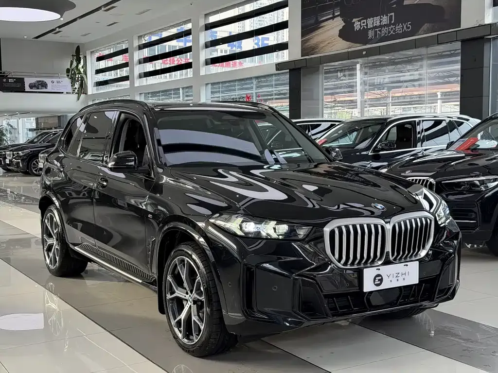 BMW X5 — фото 10
