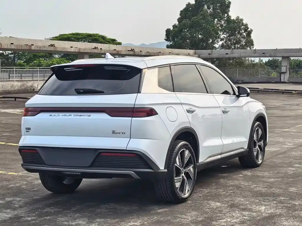 BYD Pro New Energy — фото 3