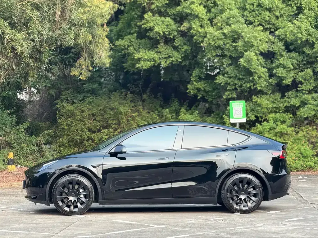 Tesla Model Y — фото 9