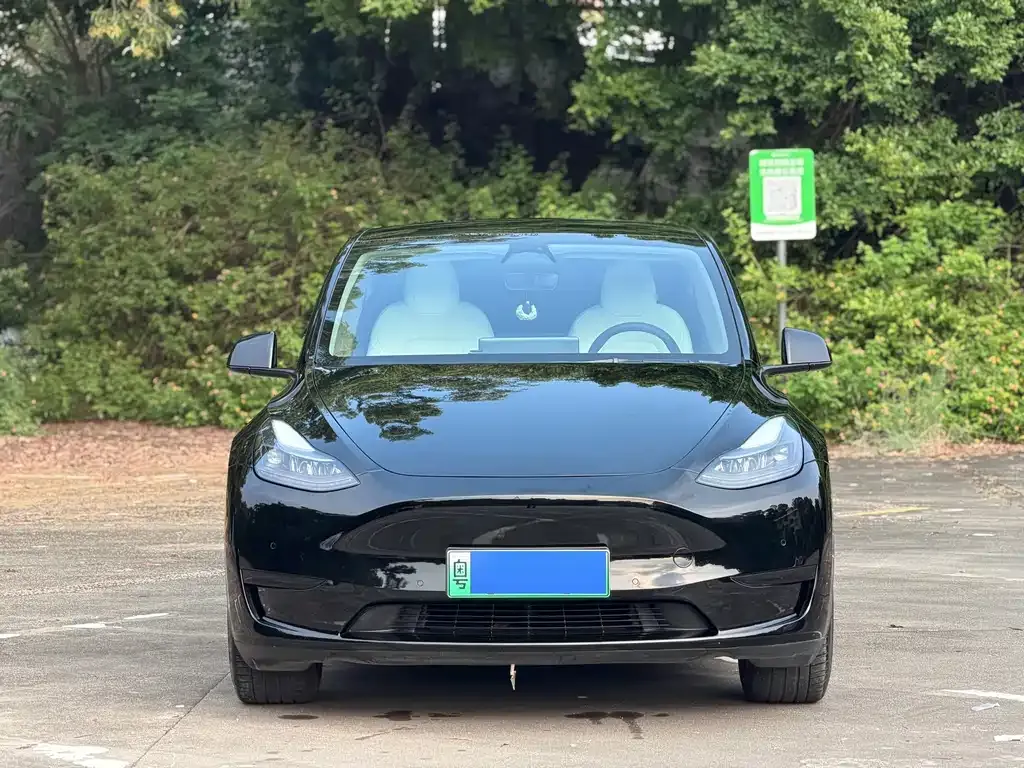 Tesla Model Y — фото 10