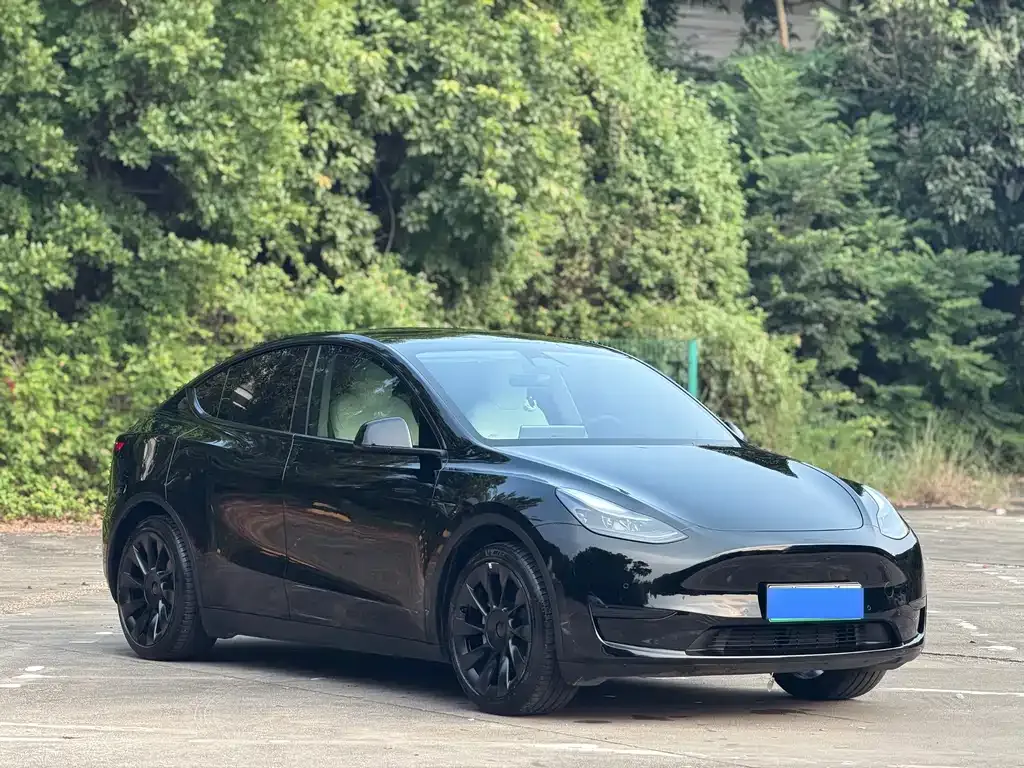 Tesla Model Y — фото 8