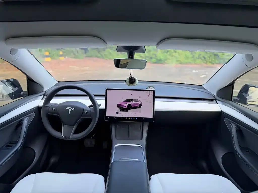 Tesla Model Y — фото 6