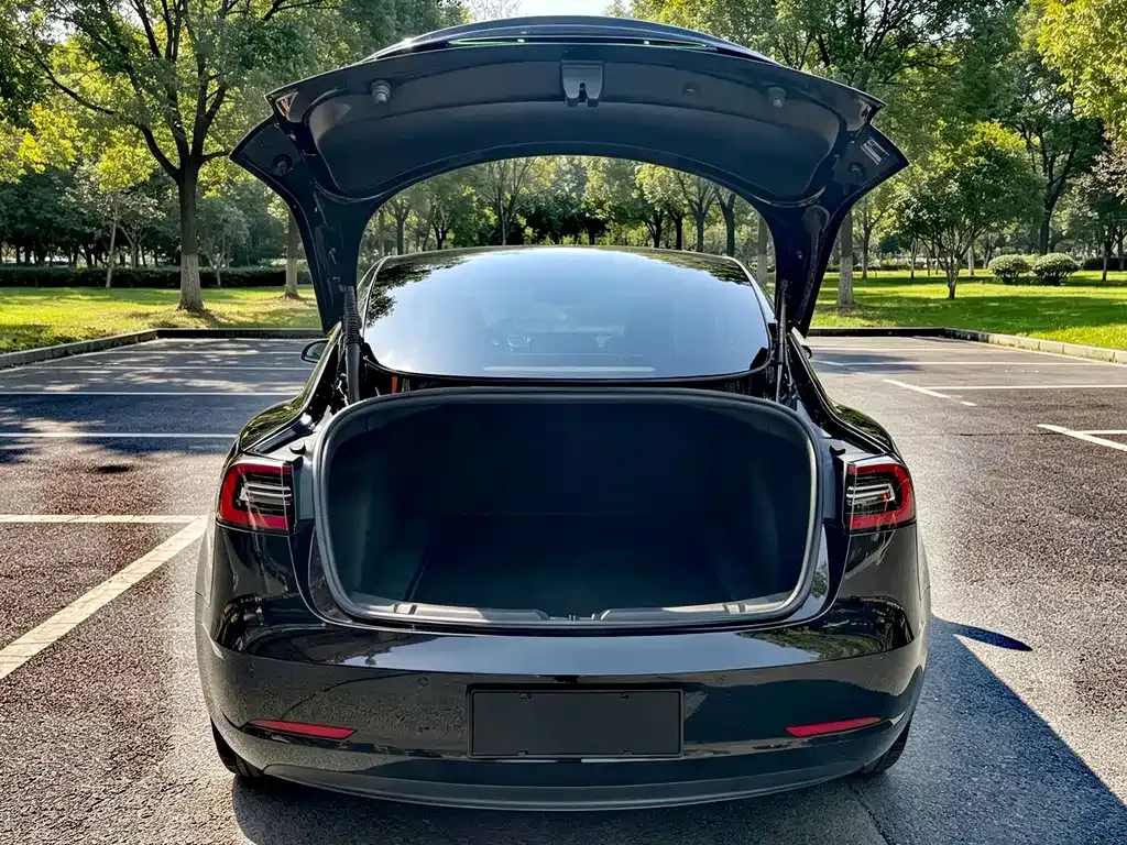 Tesla Model 3 — фото 10