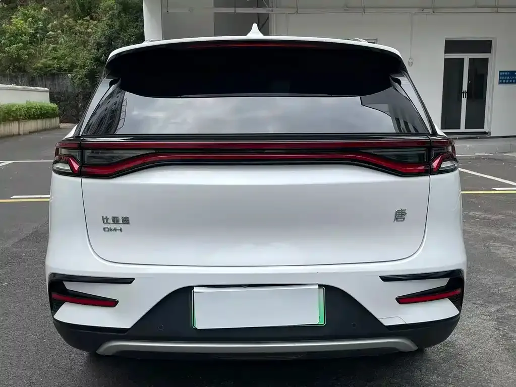 BYD Tang New Energy — фото 10