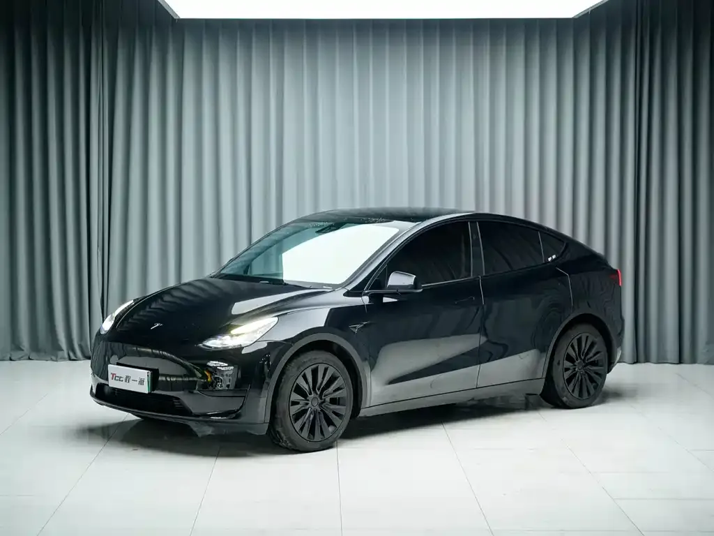 Tesla Model Y — фото 1