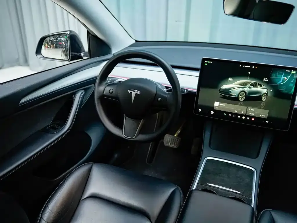 Tesla Model Y — фото 10