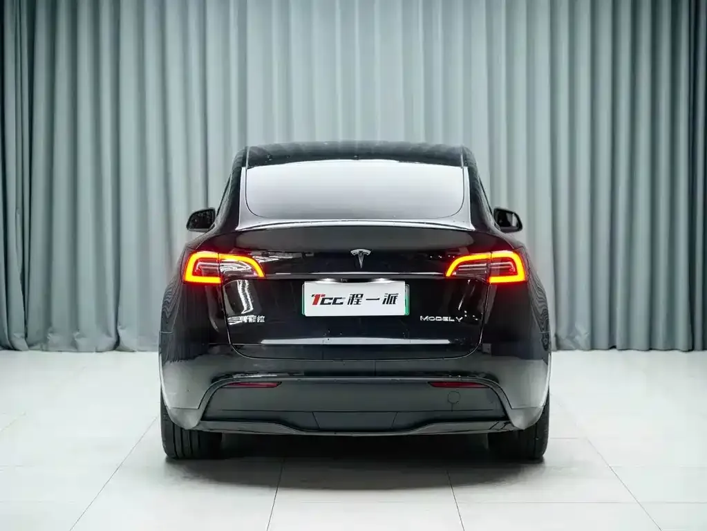 Tesla Model Y — фото 5
