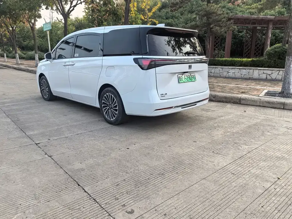 Buick GL8 Hybrid — фото 9