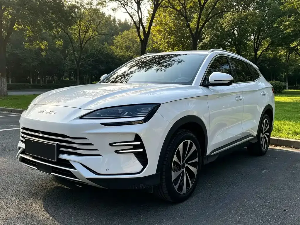 BYD PLUS New Energy — фото 1