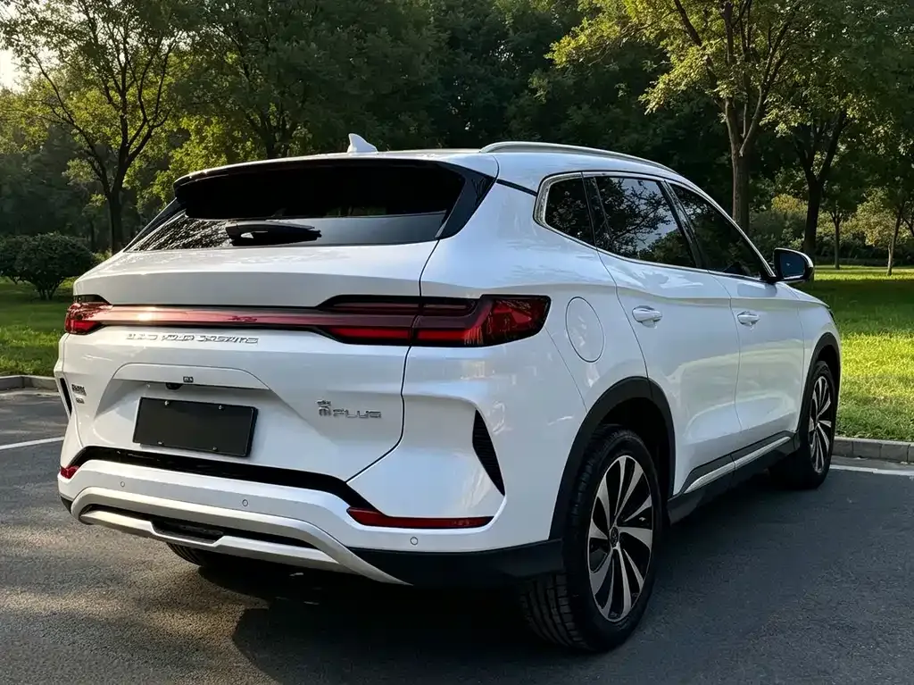 BYD PLUS New Energy — фото 6