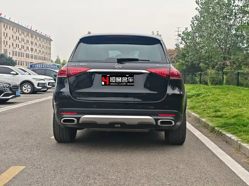 Mercedes-Benz GLE (Import) — фото 5
