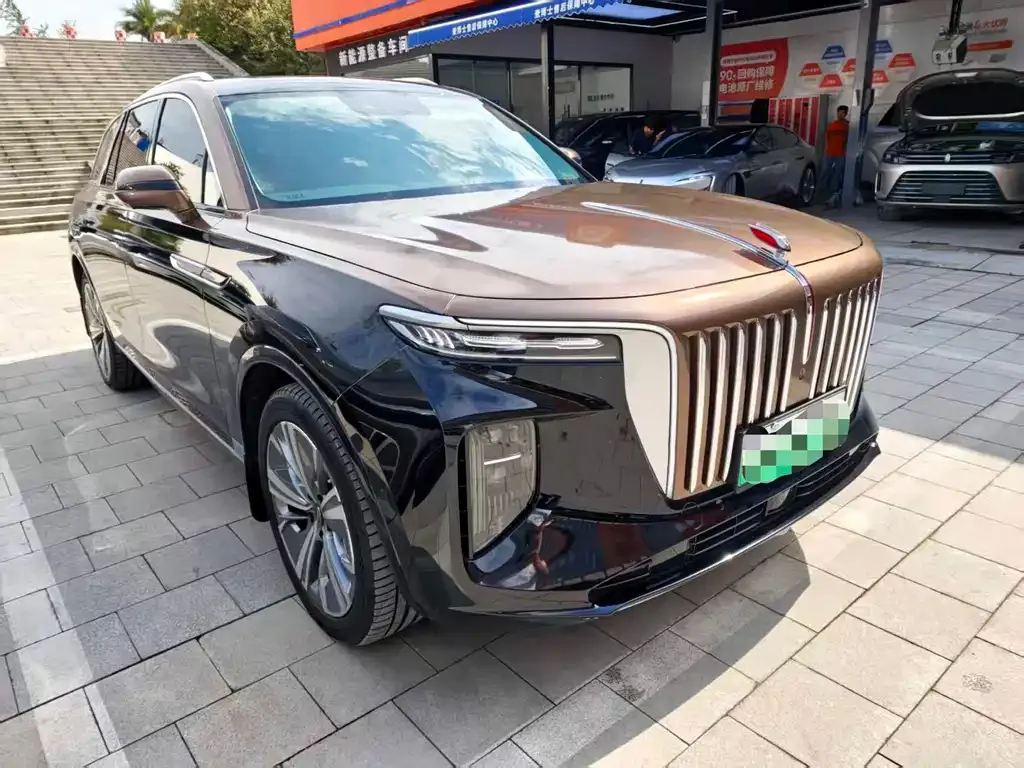 Hongqi E-HS9 — фото 3