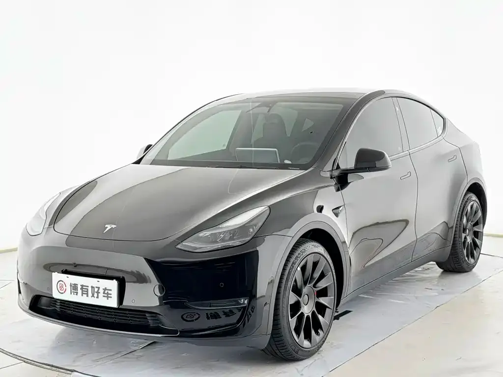 Tesla Model Y — фото 1