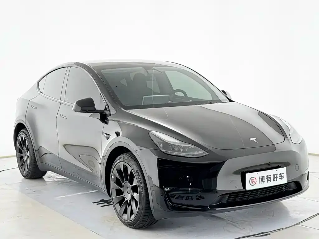 Tesla Model Y — фото 3