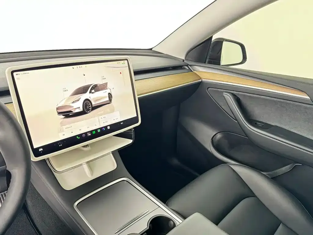Tesla Model Y — фото 9