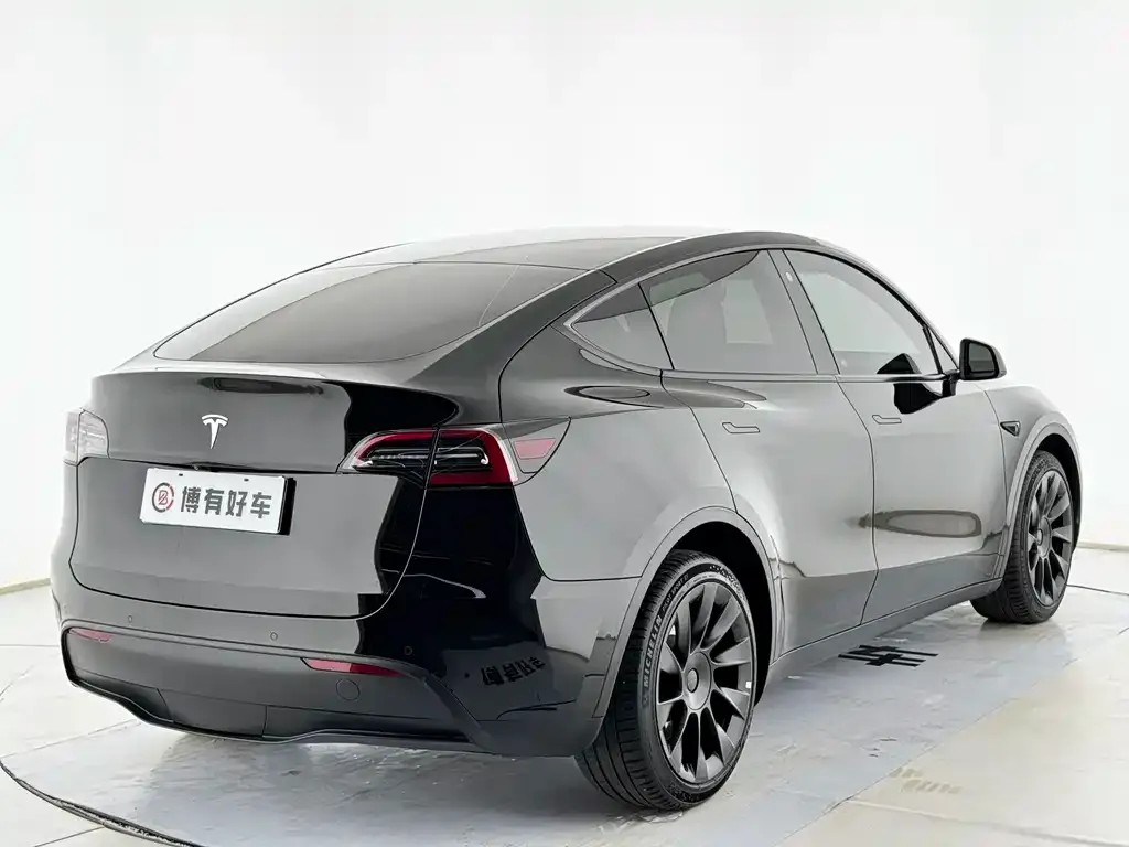 Tesla Model Y — фото 10