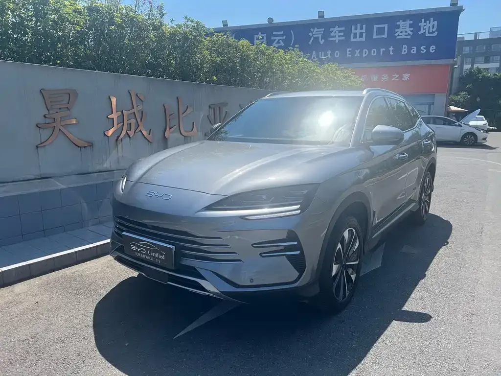BYD PLUS New Energy — фото 1