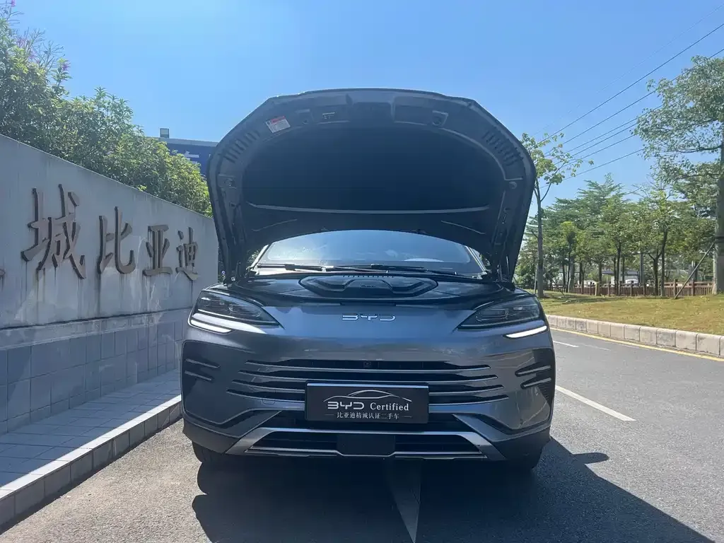 BYD PLUS New Energy — фото 4