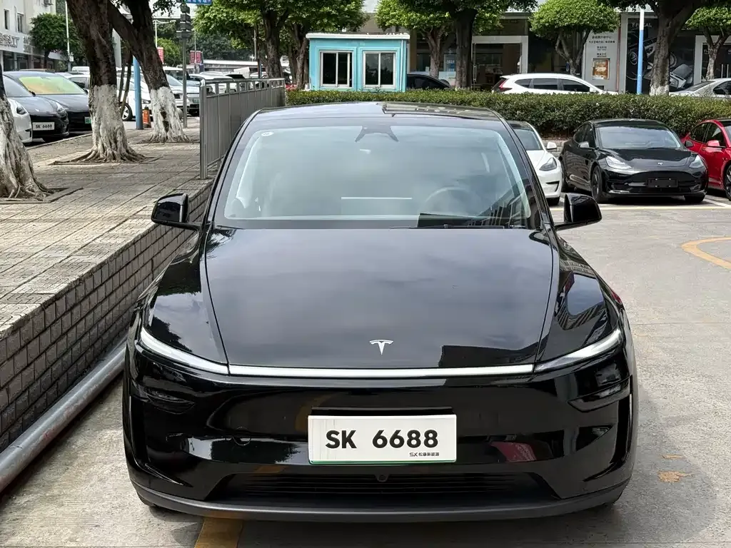 Tesla Model Y — фото 2
