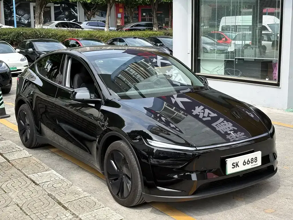 Tesla Model Y — фото 9