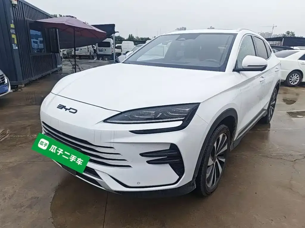 BYD PLUS New Energy — фото 9
