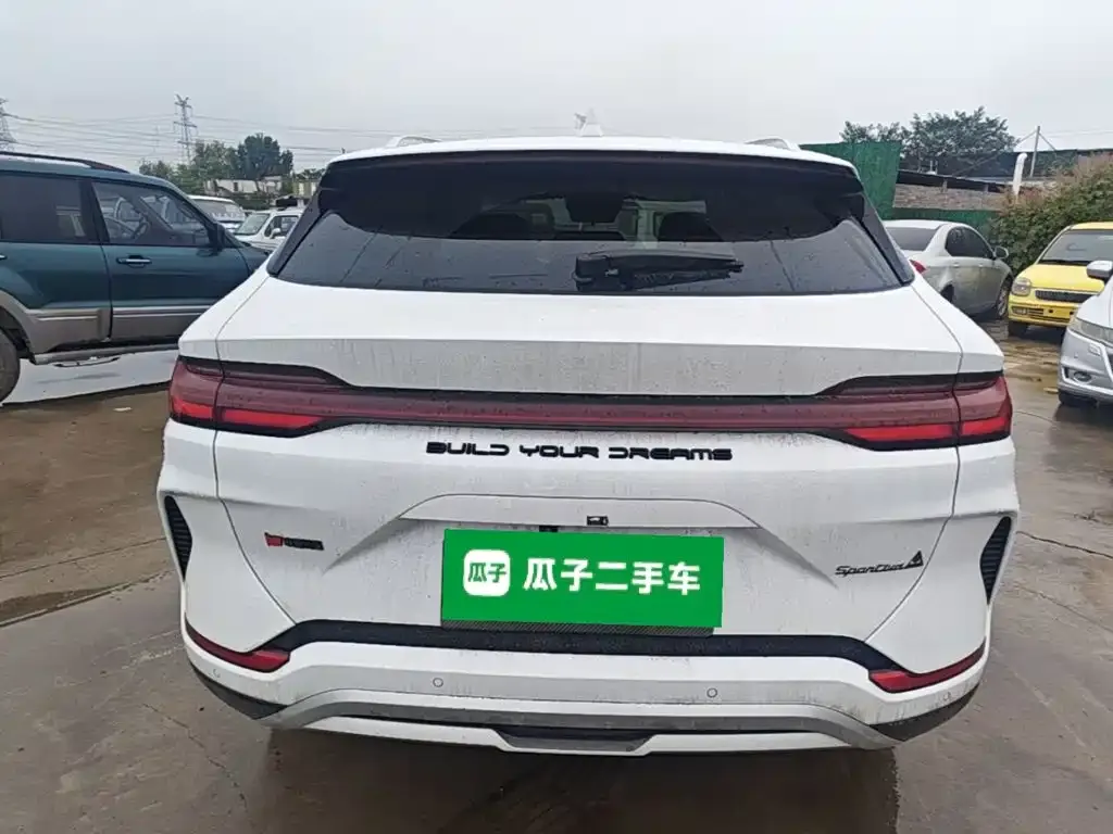 BYD PLUS New Energy — фото 8