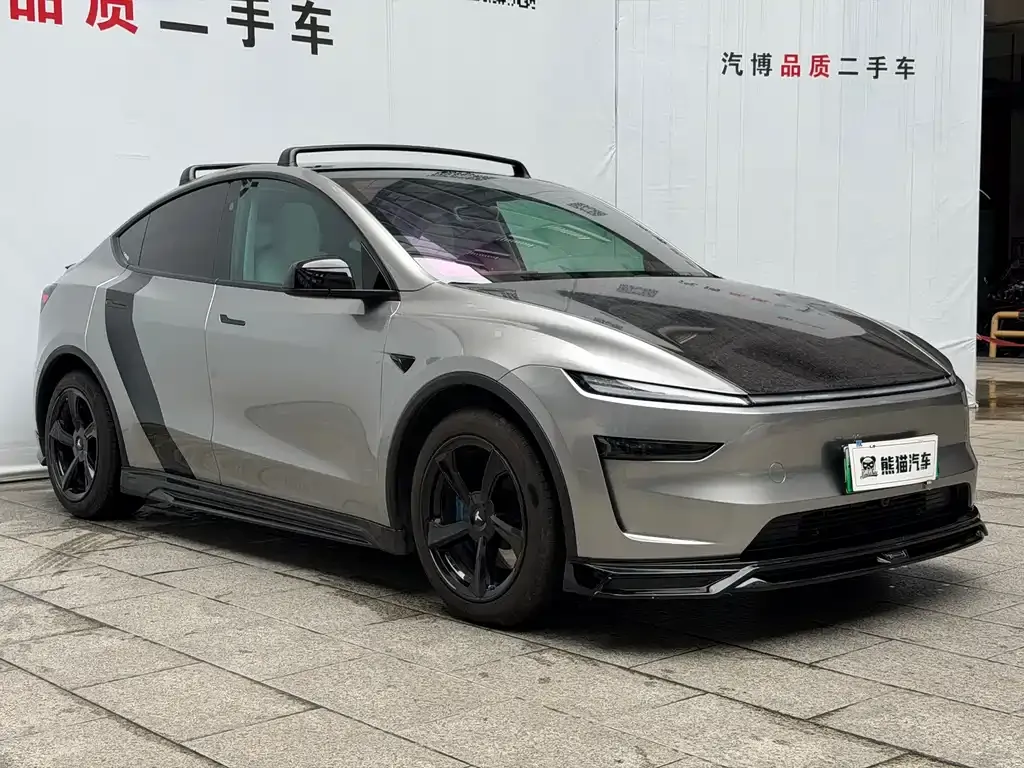 Tesla Model Y — фото 6