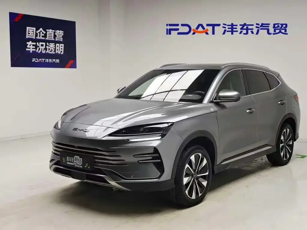 BYD PLUS New Energy — фото 1