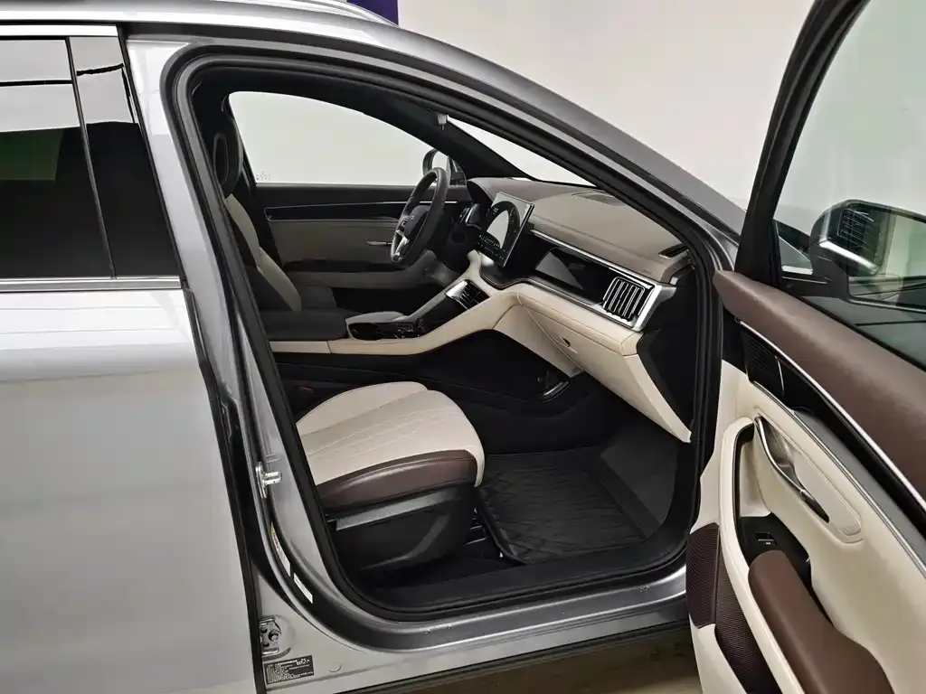 BYD PLUS New Energy — фото 9