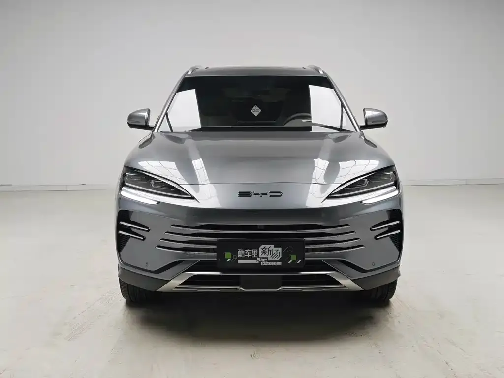 BYD PLUS New Energy — фото 7