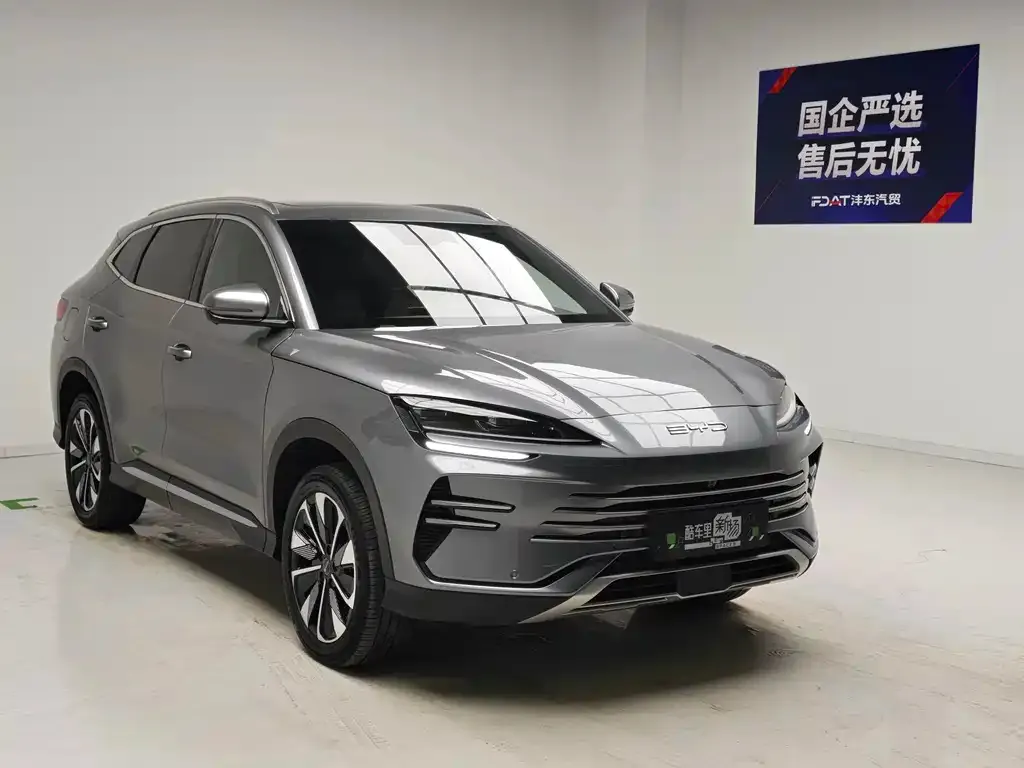 BYD PLUS New Energy — фото 8