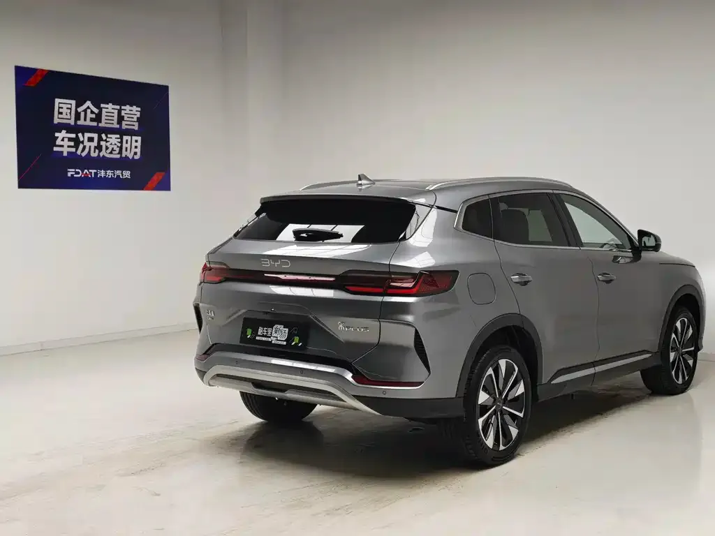 BYD PLUS New Energy — фото 2
