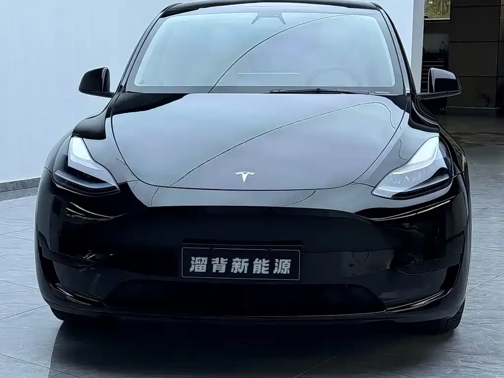 Tesla Model Y — фото 5