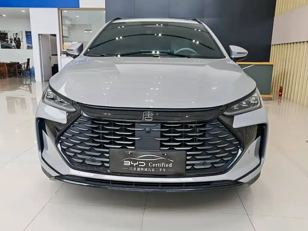 BYD Tang New Energy — фото 10