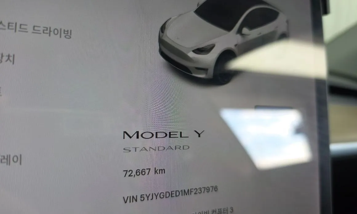Tesla Model Y — фото 7