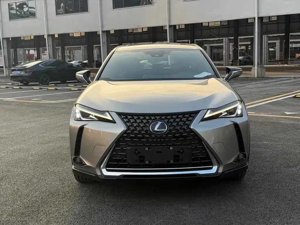 Lexus UX New Energy — фото 9