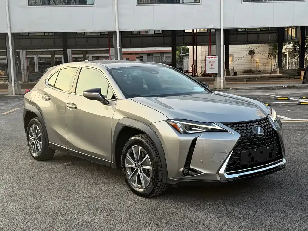 Lexus UX New Energy — фото 10