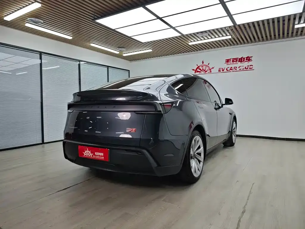 Tesla Model Y — фото 2